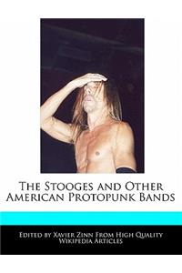 The Stooges and Other American Protopunk Bands