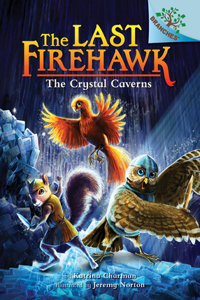 Crystal Caverns: A Branches Book (the Last Firehawk #2)