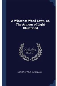 Winter at Wood Lawn, or, The Armour of Light Illustrated