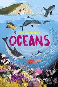 The Big Picture: Oceans