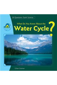 What Do You Know about the Water Cycle?