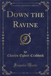 Down the Ravine (Classic Reprint)