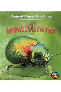 Invertebrates