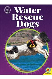 Water Rescue Dogs