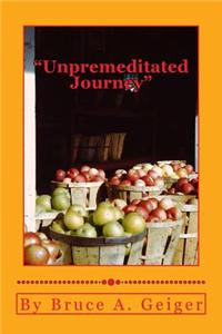 Unpremeditated Journey: Hoover/FDR to Bush/Obama 83 Years in 250 Pages