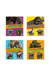 Dinosaur Fact Dig
