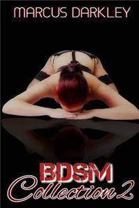 BDSM Collection 2