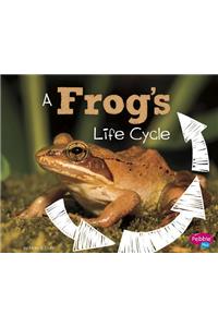 A Frog's Life Cycle