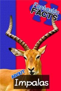 Fantastic Facts about Impalas