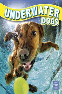 UNDERWATER DOGS