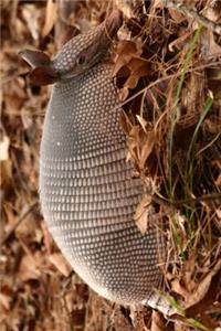An Armadillo in Texas Journal
