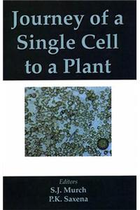 Journey of a Single Cell to a Plant