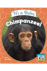 It's a Baby Chimpanzee!