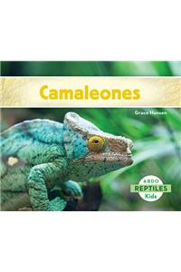 Camaleones (Chameleons)