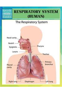 Respiratory System (Human) (Speedy Study Guides)