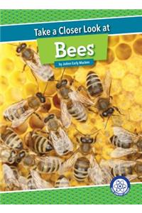 Take a Closer Look at Bees