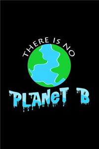 There is no planet b