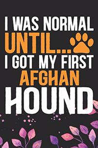 I Was Normal Until I Got My First Afghan Hound