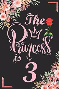 The Princess Is 3