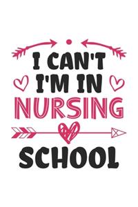 I Can't I'm In Nursing School