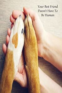 Your Best Friend Doesn't Have to be Human