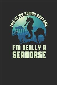 I'm Really A Seahorse