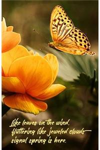 Butterfly Journal