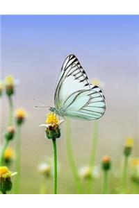 Butterfly Graph Paper Book