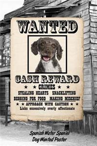 Spanish Water Spaniel Dog Wanted Poster