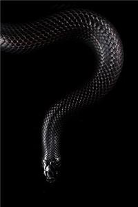 Snake Notebook