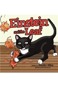 Einstein and the Leaf