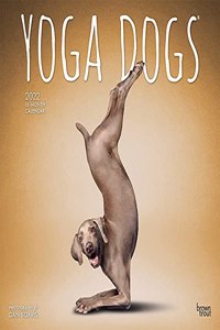 Yoga Dogs 2022 Square
