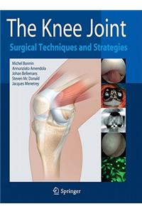 Knee Joint