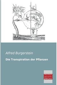 Transpiration Der Pflanzen