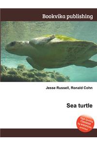 Sea Turtle