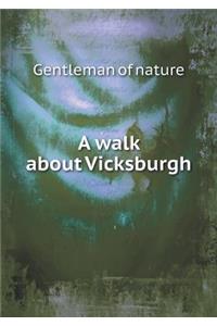 A Walk about Vicksburgh