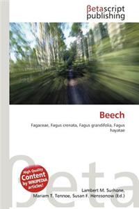 Beech
