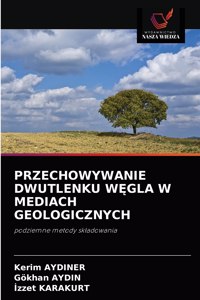 Przechowywanie Dwutlenku W&#280;gla W Mediach Geologicznych