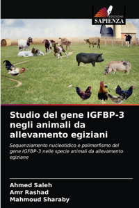 Studio del gene IGFBP-3 negli animali da allevamento egiziani