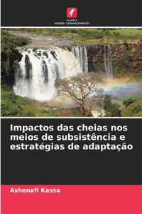 Impactos das cheias nos meios de subsistência e estratégias de adaptação