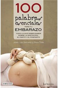 100 Palabras Esenciales Para Tu Embarazo