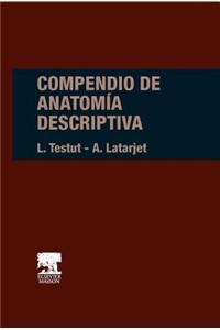 Compendio de Anatomia Descriptiva