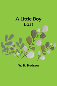 Little Boy Lost