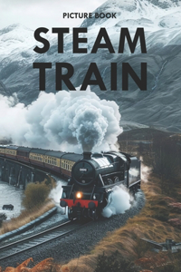 Steam Train