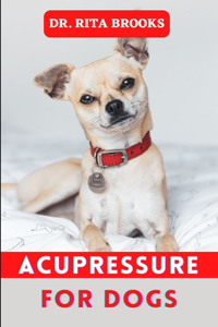 Acupressure for Dogs: Dog Massage & Acupressure Tips to Calm and Relax your Dog