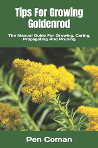 Tips For Growing Goldenrod