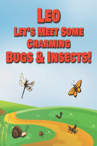 Leo Let's Meet Some Charming Bugs & Insects!