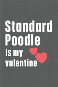 Standard Poodle is my valentine