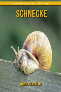 Schnecke