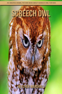 Screech Owl